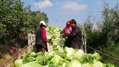 �����������ι�Ͽ��ڷ�̨��ԭ�Ĳ�ϲ�����