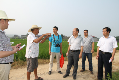 ������������ʵ�ƽ�ˮ��רҵ��ͳ��ͳ������ɫ�����ںϹ���