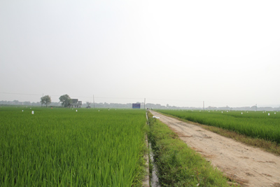 ������������ʵ�ƽ�ˮ��רҵ��ͳ��ͳ������ɫ�����ںϹ���2