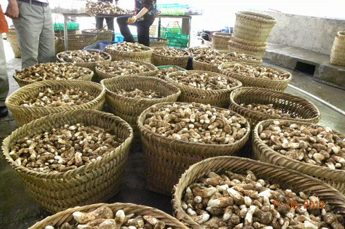 �Ž����׽����г�