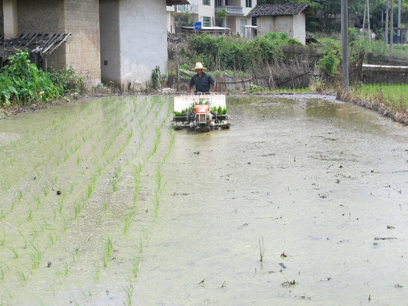 ������Ϫ��ϪС��ũ�����˲�����