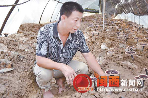 ������ƽʳ�þ������ֵ8485��Ԫ