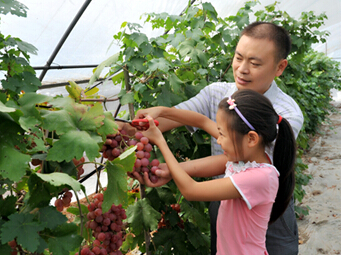 �Ĵ����񣺡���ժ���á����˹�ũ����