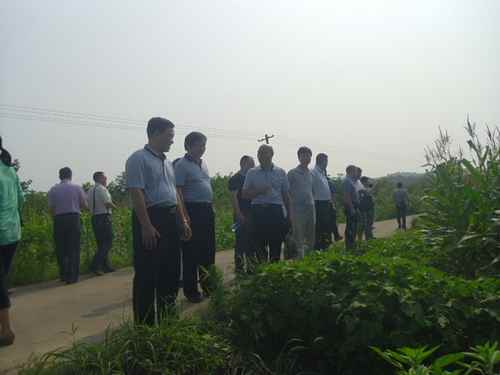 ���ϳ���̶������ֲ�ṹ�����ֳ���������̶���ٿ�