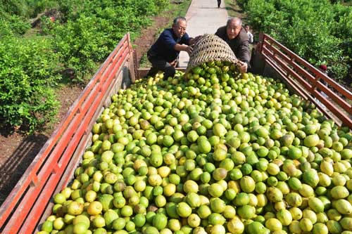 �Ĵ��㰲��С���ʳ�����ҵ