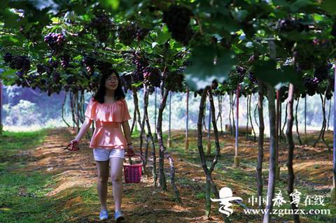 ����̩������ƺ��̬��ͥũ������������