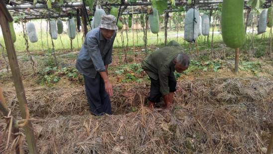 ���������أ�ָ������������ݥ�ĺ��ڹ���