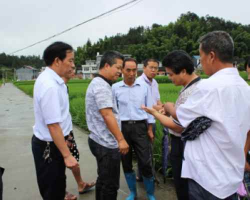 ���������س����������ڹ���ƬĶ������ͻ��1000����