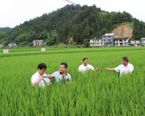 ���ڲ鿴�����������