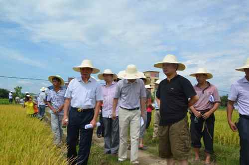 ���ϵ��سɹ��ٰ�ˮ������Ʒ��չʾʾ���ֳ���Ħ��