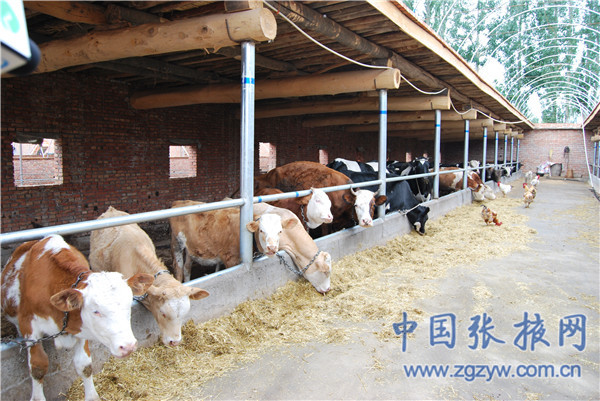 ������Ҵ����������������ҵ��չ��ͷǿ��