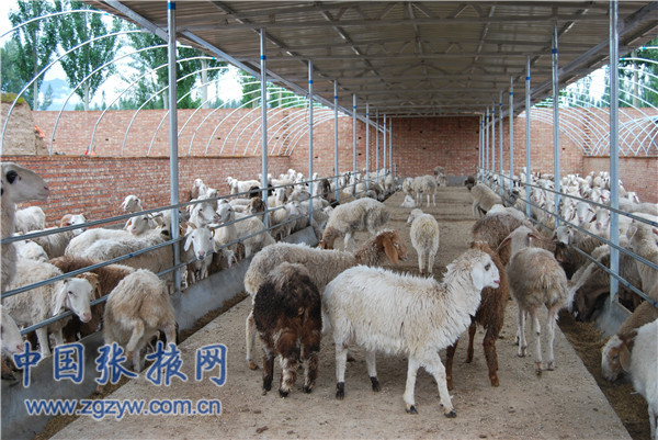 ������Ҵ����������������ҵ��չ��ͷǿ��2