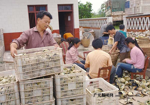 �������� �Ĵ���Ϫ�������������