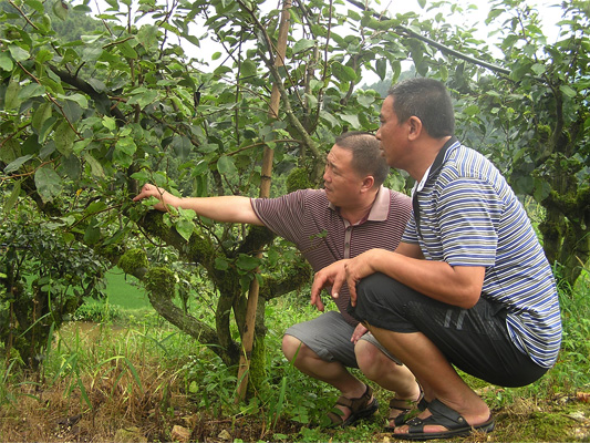 ������������Ƥʯ����̬����ʾ������ɹ�