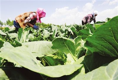 ���Ĺ�ԭ��ԭ������ͳũҵ���ִ��貽