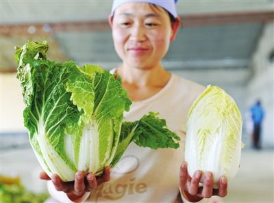 ���޲˵ġ��ɱ䡱��