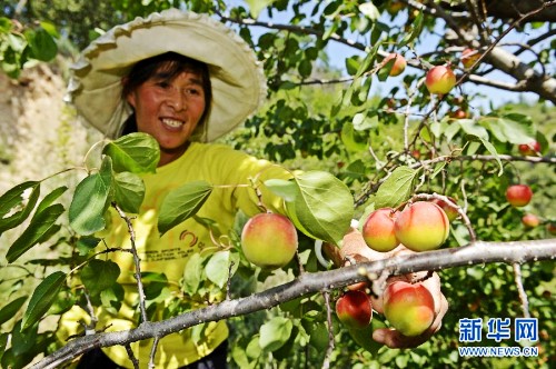 ���������أ����ӷ��� ũ����