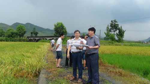 ����ʡ���й����ӵ�����������ʳ�����������鹤��