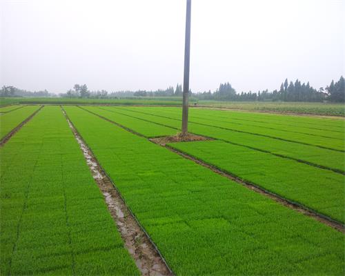 ���ϴ�ͨ������������ȫ�����籣��