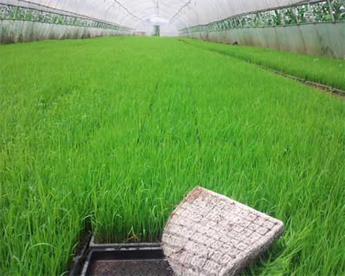 �����������ƿɿ�