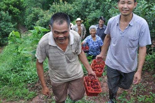 �㽭�ɾ���÷��Զ�ޡ���ɽ ����Ӧ����������