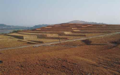 �����۶��ؼӿ��ҵ���ؽ��裬�ٽ�ũҵ��ҵ����չ