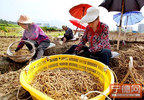 ����������̫�Ӳ��ճ���������