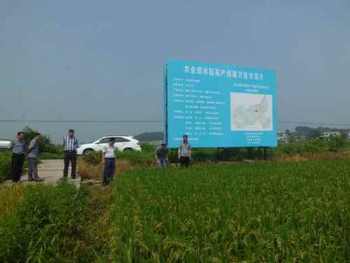 ���������絾�߲�����˳��ͨ������