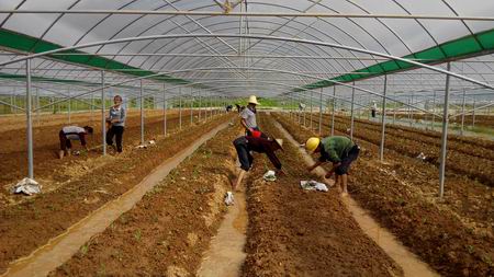 ����̩�����������ָ��������������