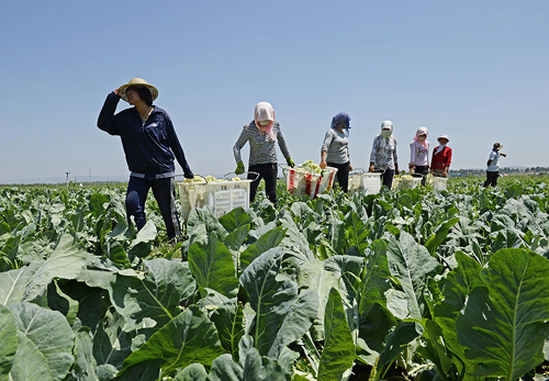 ���Ĺ�ԭ�������߲�Ʈ�������ԭ