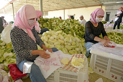 ũ�������Ĺ�ԭ��ԭ�������߲˰�װ׼��������أ�7��16���㣩��