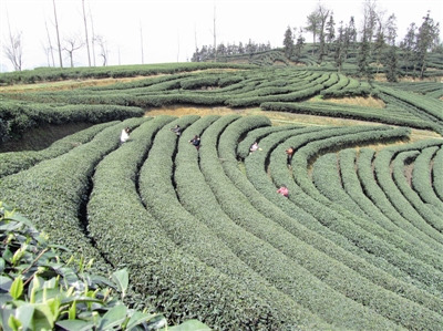 �Ĵ��������ҵ��չ���츻��ת��֮·������