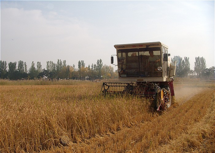 ��������������С����ո�ȫ�����