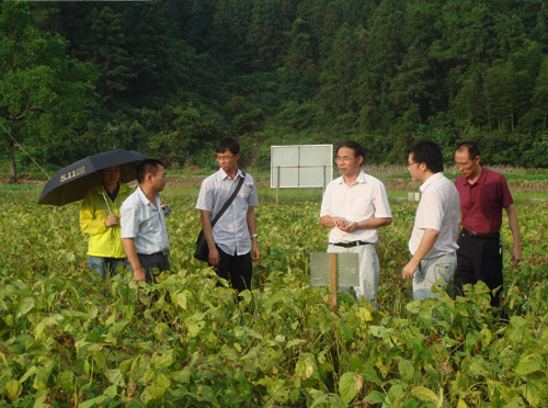 ר�ҿ��츣����������Ʒ�������ֳ�