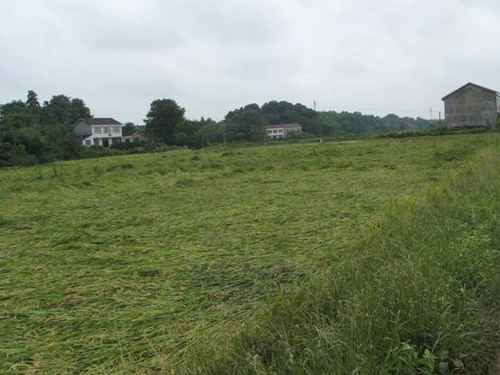 ������Ҫ��ʳ����ˮ�����������