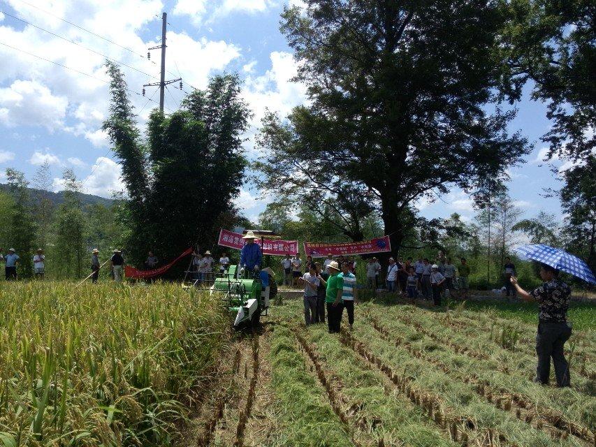 ������Ϫ������׮������ͷ���������ֳ�