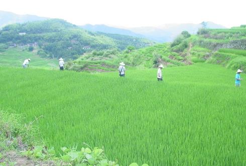 ������Ϫ��ר���������ָ��ˮ��������ι���