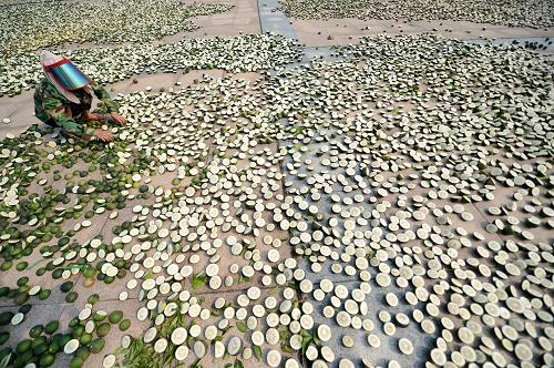 �����������׿�ϲ�����