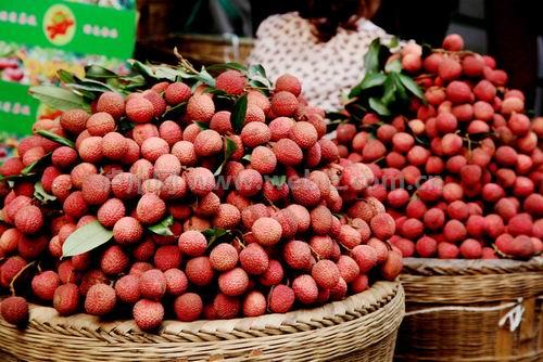 ��ǧ��������ʷ �Ĵ��Ͻ���֦�����Ҹ���ζ