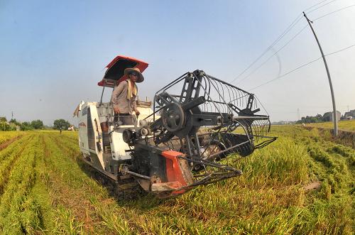 ���������ո�æ