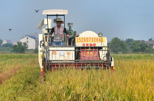 7��23�գ��ո���ں���ʡ�����ص������ո�������