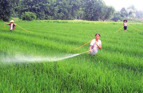 �����������ö����������ܵ�ɱ�������ӽ�����Ҷ��