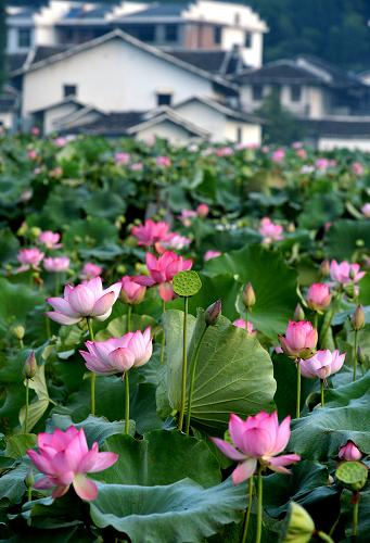 ���������������ҵ�����򾭼�֧����ҵ