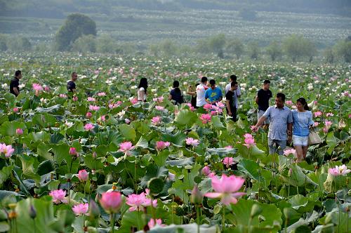 7��23�գ��ο���Ҧ�������������