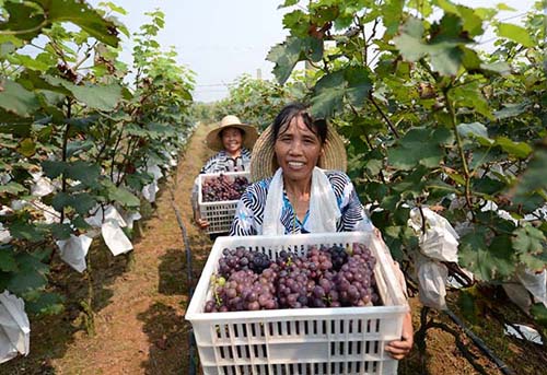 ������������������