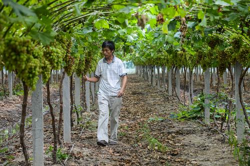 �㽭���ˣ����͡�ְҵũ�������ִ�ũҵ��ת��������