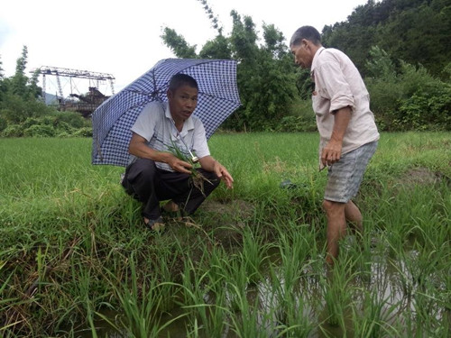 ������Ϫ��������ũ�� ��ũ������