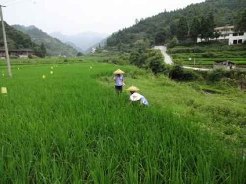 ���ϱ����ء���Ұũҵ����ɫ����Ч����