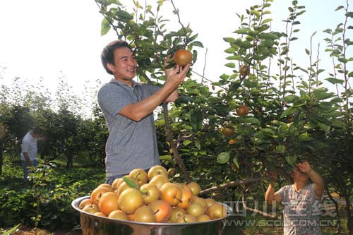 �Ĵ�������Ϫ��������չ�ũЦ