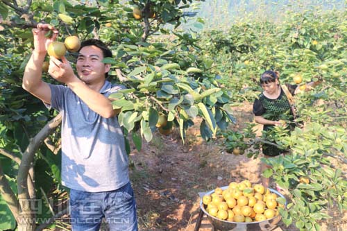 �Ĵ�������Ϫ��������չ�ũЦ2